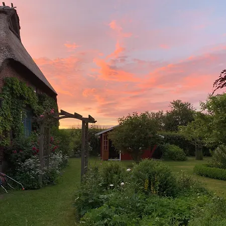 Alte Stellmacherei Vakantiehuis